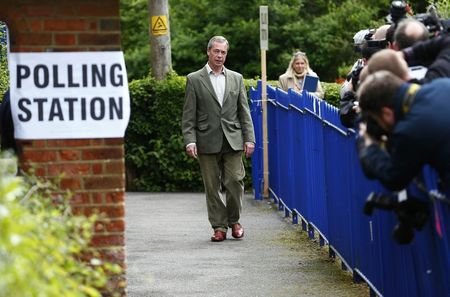 Nigel Farage UKIP voting