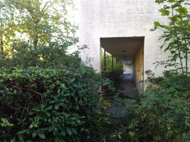 SPS Christmas 2015 View From Your Window Harlow Essex v2