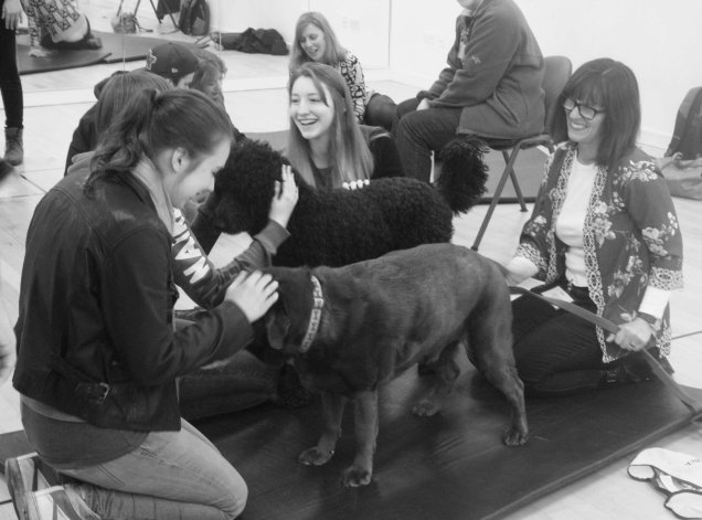 Therapets - Mental Health - University - Students