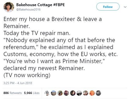 Helen Holdsworth FBPE Brexit 1