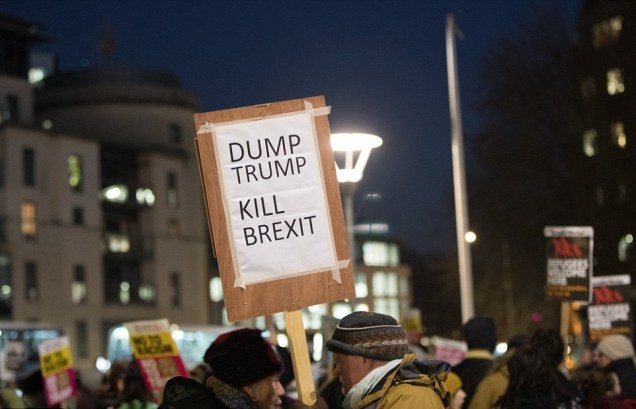 Protest Sign - Dump Trump Kill Brexit